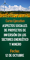 Curso Ejecutivo: Aspectos Sociales de Proyectos de Inversión en los Sectores Energético y Minero   