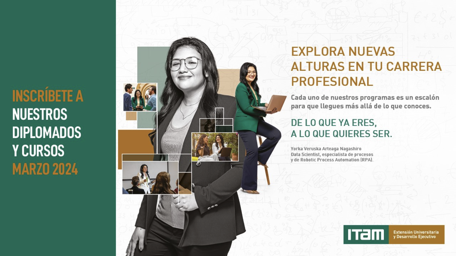 Desarrollo Ejecutivo