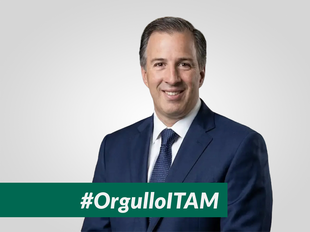 José Antonio Meade, Presidente del Consejo de Grupo Gigante