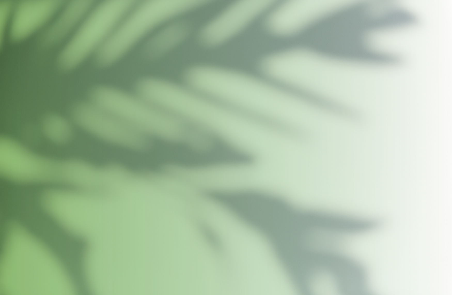 //exalumnos.itam.mx/sites/default/files/revslider/image/fondo-itam-news-3.jpg